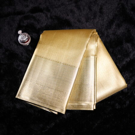 Tissue Silk  Saree - TS001