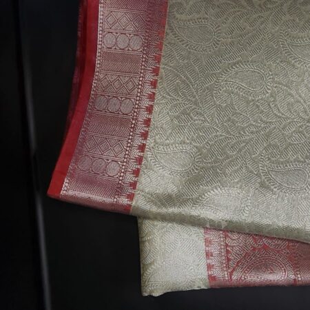 Tissue Silk  Saree - TS011