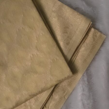 Tissue silk saree -TS012